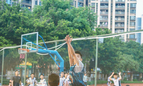 柱状图与球队图标